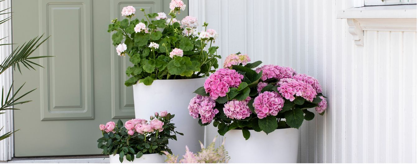 Interi&oslash;r- og blomsterbilde med klikkbare elementer